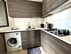 Sims Urban Oasis (D14), Condominium #553889031